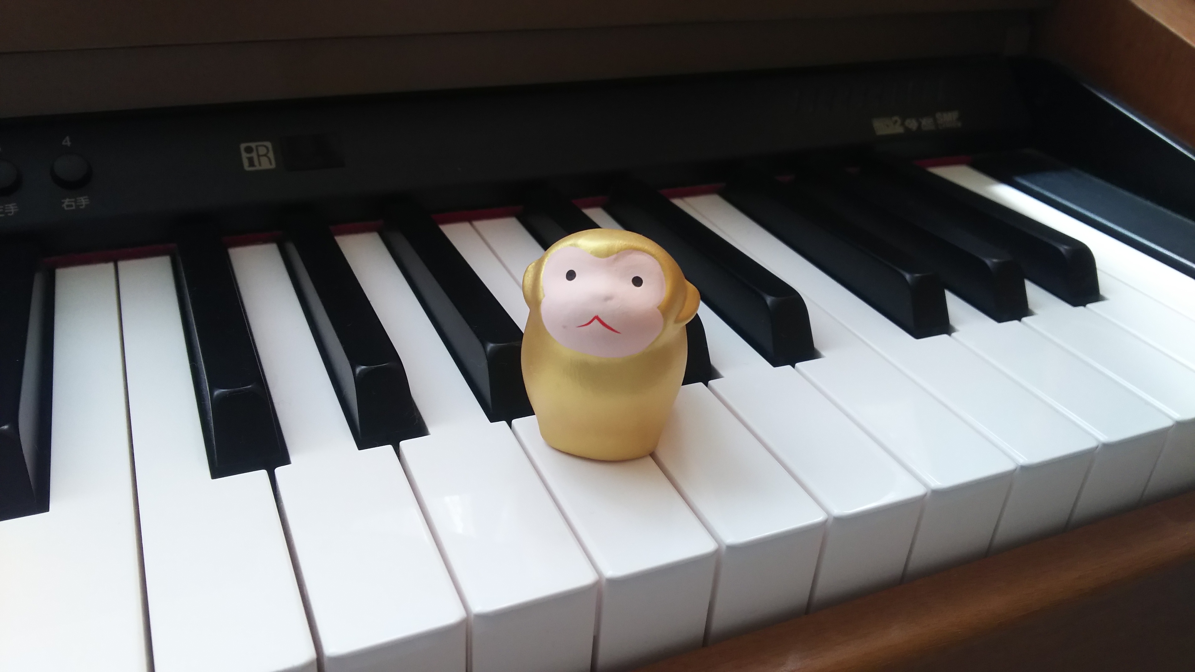 男の子の習い事 一体何をさせればいいの Nocoto Style